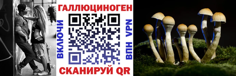 Псилоцибиновые грибы GOLDEN TEACHER  Нарьян-Мар 